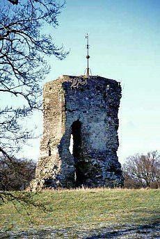 Knepp Castle, Shipley, West Sussex.