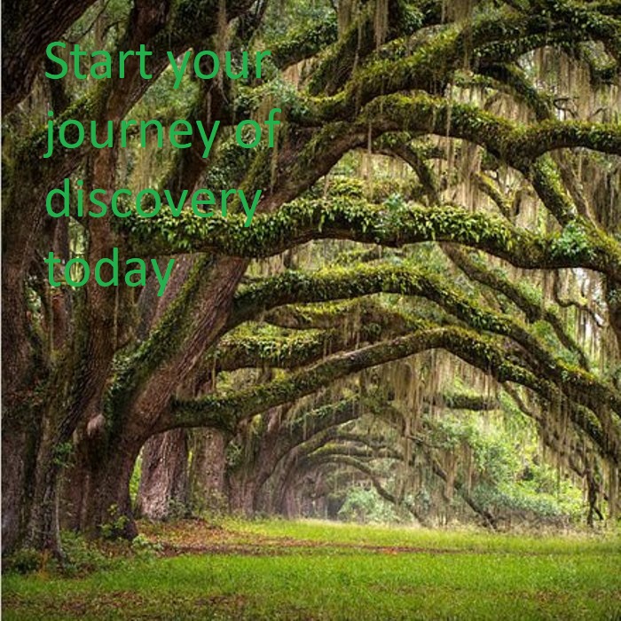 Start Your Journey of discovery today.