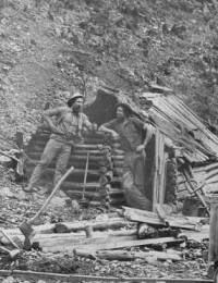 A prospector&#039;s hut in Upper Dargo, 1870