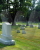 Little Flock Cemetery, Shelburn, Curry Township, Sullivan County, Indiana, USA
