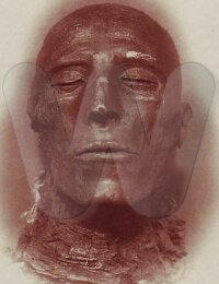 Head of the mummy of Seti I