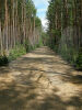 Sobibor - Road to Heaven - in 2007.