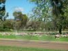 Gunnedah Cemetery, New South Wales, Australia