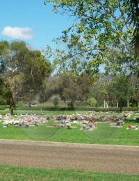 Gunnedah Cemetery, New South Wales, Australia