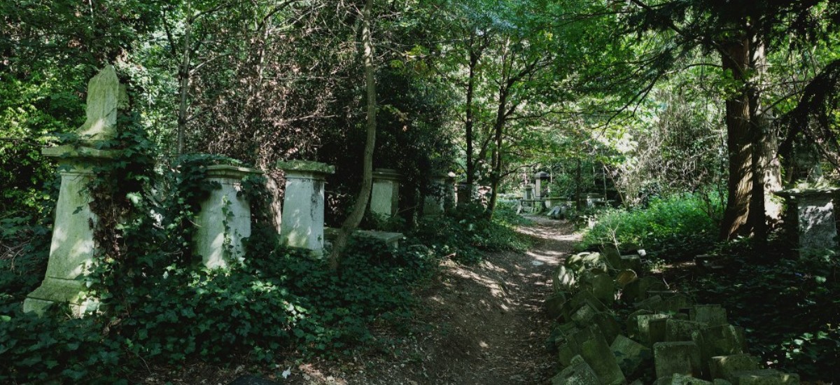 Abney Park Cemetery